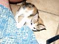 caramel 06-04 038